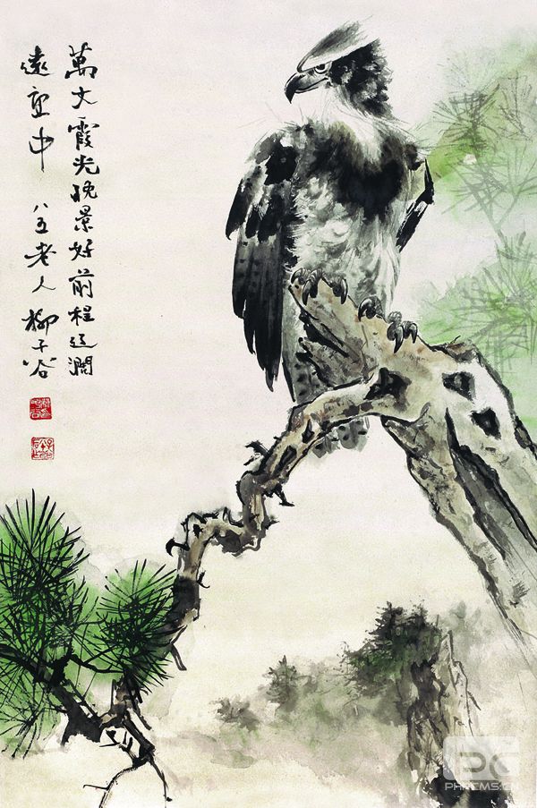 柳子谷 松鷹